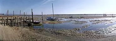 Illustration de Le Mimbeau à marée basse