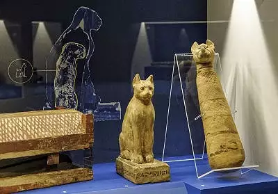 Illustration de Momies animales