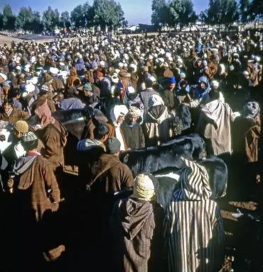 Illustration de La foule des maquignons