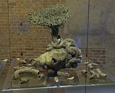 Illustration de Medusa