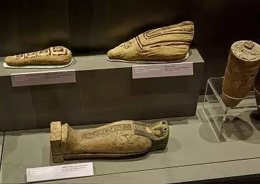 Illustration de momies de faucon et d'ibis, sarcophage de momie de faucon / Turin