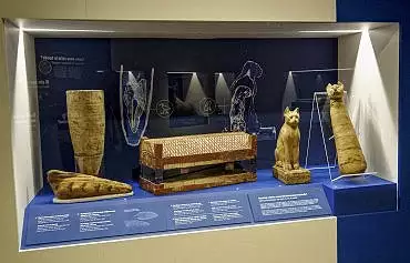 Illustration de radiographies et momies d'ibis, de chats et sarcophage de chat / Turin