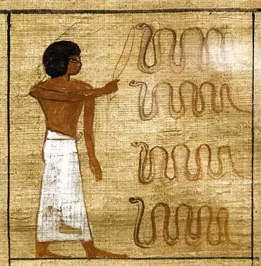 Illustration de protection contre les serpents