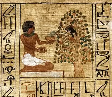 Illustration de un sycomore d'où émerge la déesse Nout versant une libation d'eau vivifiante au défunt agenouillé. 