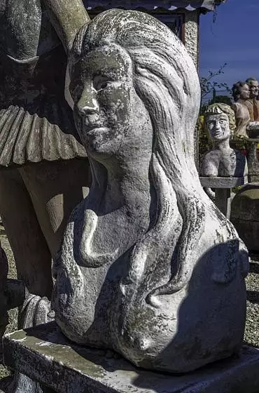 Illustration de buste dénudé