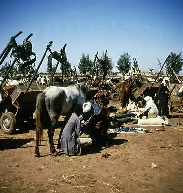 Illustration de Ferrage du cheval et repos avec conversations