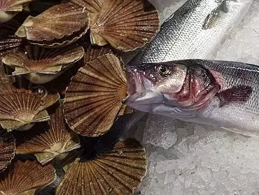 Illustration de Le Marché aux poissons