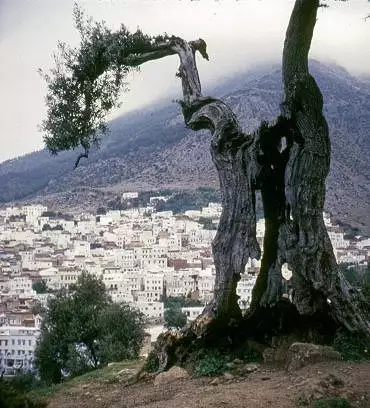Illustration de La ville de Chaouen