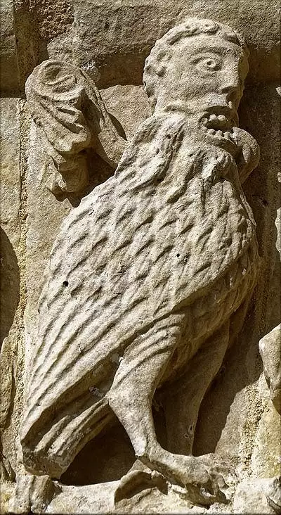 Illustration de sirènes oiseaux masculines et mixtes