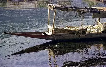 Illustration de poulailler flottant