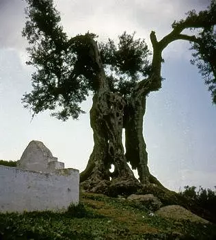 Illustration de