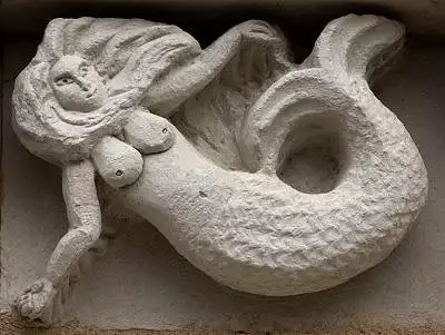 Illustration de sirènes poissons à une queue