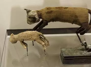Illustration de momies de chats / Louvre