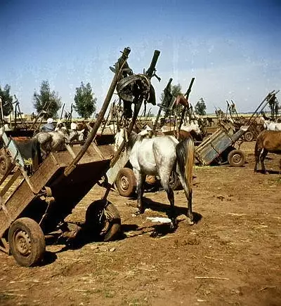 Illustration de Le parking du souk