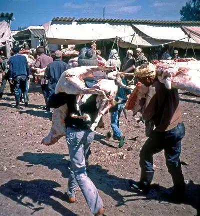 Illustration de Abattoir et transport de la viande