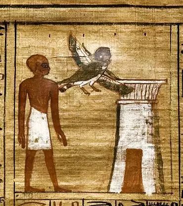 Illustration de 