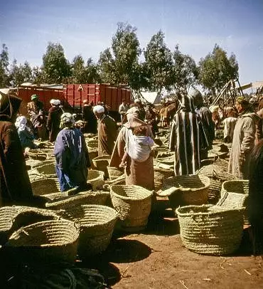 Illustration de Vente de paniers utilisés sur les équidés