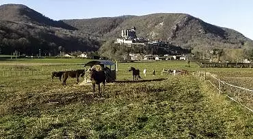 Illustration de la cathédrale au loin sur la colline