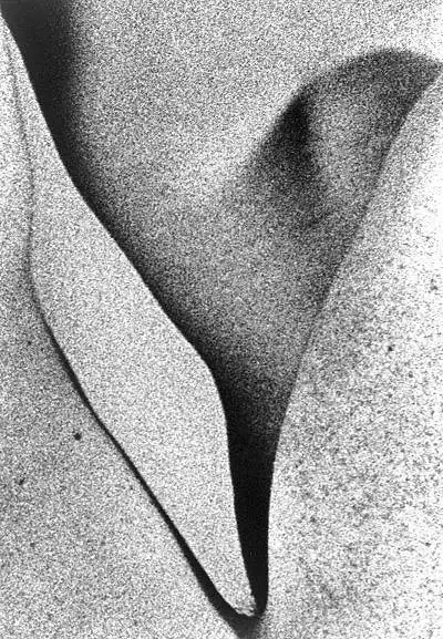 Illustration de Diaclases