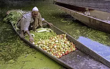 Illustration de marchand de légumes