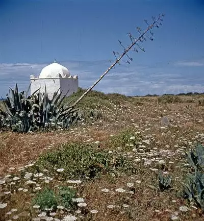 Illustration de La Campagne autour d'El Jadida