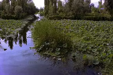Illustration de jardins flottants