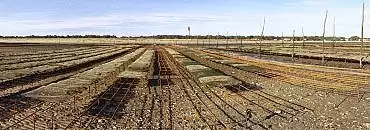 Illustration de Les supports des pochons d'huitres à marée basse