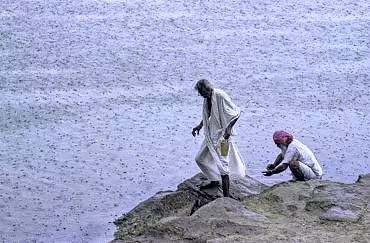 Illustration de une pluie torrentielle s'abat sur le réservoir d'Amarsar