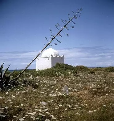 Illustration de Marabout sur la falaise