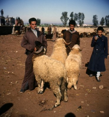 l_lmar_a106d_l.jpg