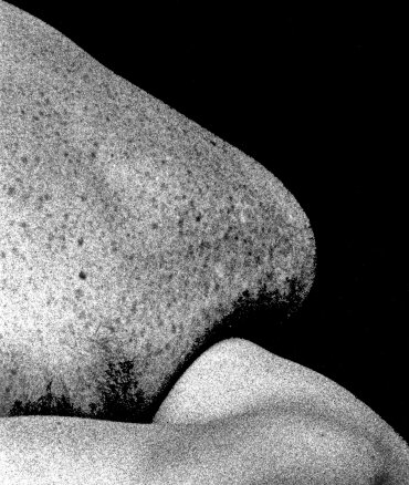 Diaclase 9