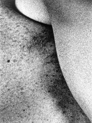 Diaclase 4
