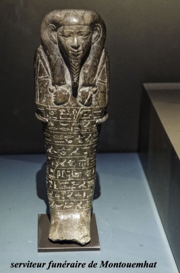 montou1373.jpg